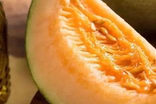 糖尿病吃羊角蜜瓜行不行,糖尿病人群食用羊角蜜瓜的安全性探讨 第2张 糖尿病吃羊角蜜瓜行不行,糖尿病人群食用羊角蜜瓜的安全性探讨 第2张