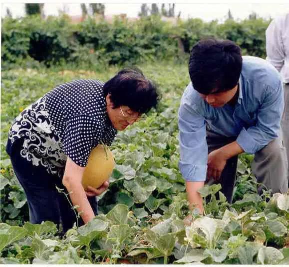 伊月在线吃瓜,揭秘娱乐圈幕后故事 第3张 伊月在线吃瓜,揭秘娱乐圈幕后故事 第3张