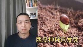 电梯情侣吵架吃瓜,吃瓜群众现场直播 第2张 电梯情侣吵架吃瓜,吃瓜群众现场直播 第2张