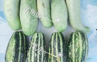 柳州网红吃瓜,揭秘网络红人的幕后故事 第3张 柳州网红吃瓜,揭秘网络红人的幕后故事 第3张