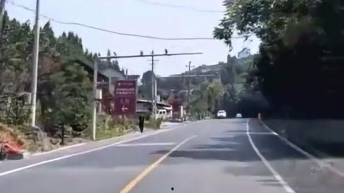 路上车吃瓜,车流中的“吃瓜群众”现象解析 第2张 路上车吃瓜,车流中的“吃瓜群众”现象解析 第2张