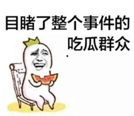 带你吃瓜理发前后 第2张 带你吃瓜理发前后 第2张
