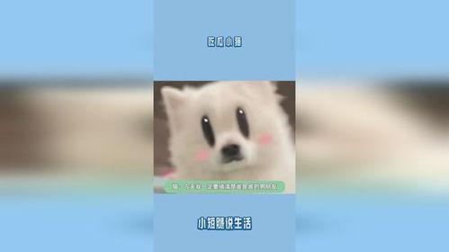 小猫吃瓜故事 第1张 小猫吃瓜故事 第1张