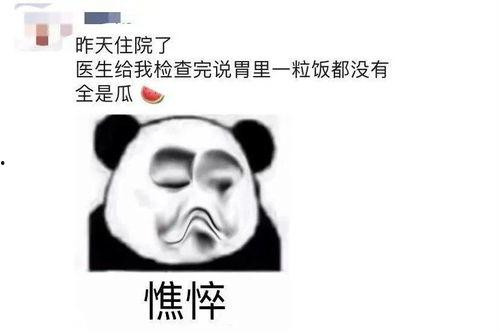 休假吃瓜的图片,轻松度夏的惬意时光 第3张 休假吃瓜的图片,轻松度夏的惬意时光 第3张