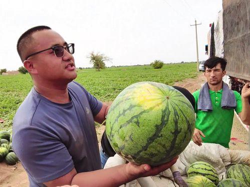 曹县吃瓜了,揭秘网络热点的背后真相 第3张 曹县吃瓜了,揭秘网络热点的背后真相 第3张