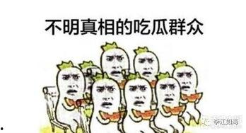 吃瓜专业术语,一网打尽瓜圈黑话 第1张 吃瓜专业术语,一网打尽瓜圈黑话 第1张