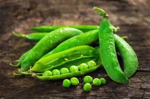 吃瓜得瓜吃豆人 第1张 吃瓜得瓜吃豆人 第1张