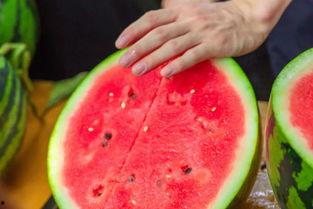 天津大学 吃瓜,揭秘校园热点事件背后的故事 第3张 天津大学 吃瓜,揭秘校园热点事件背后的故事 第3张